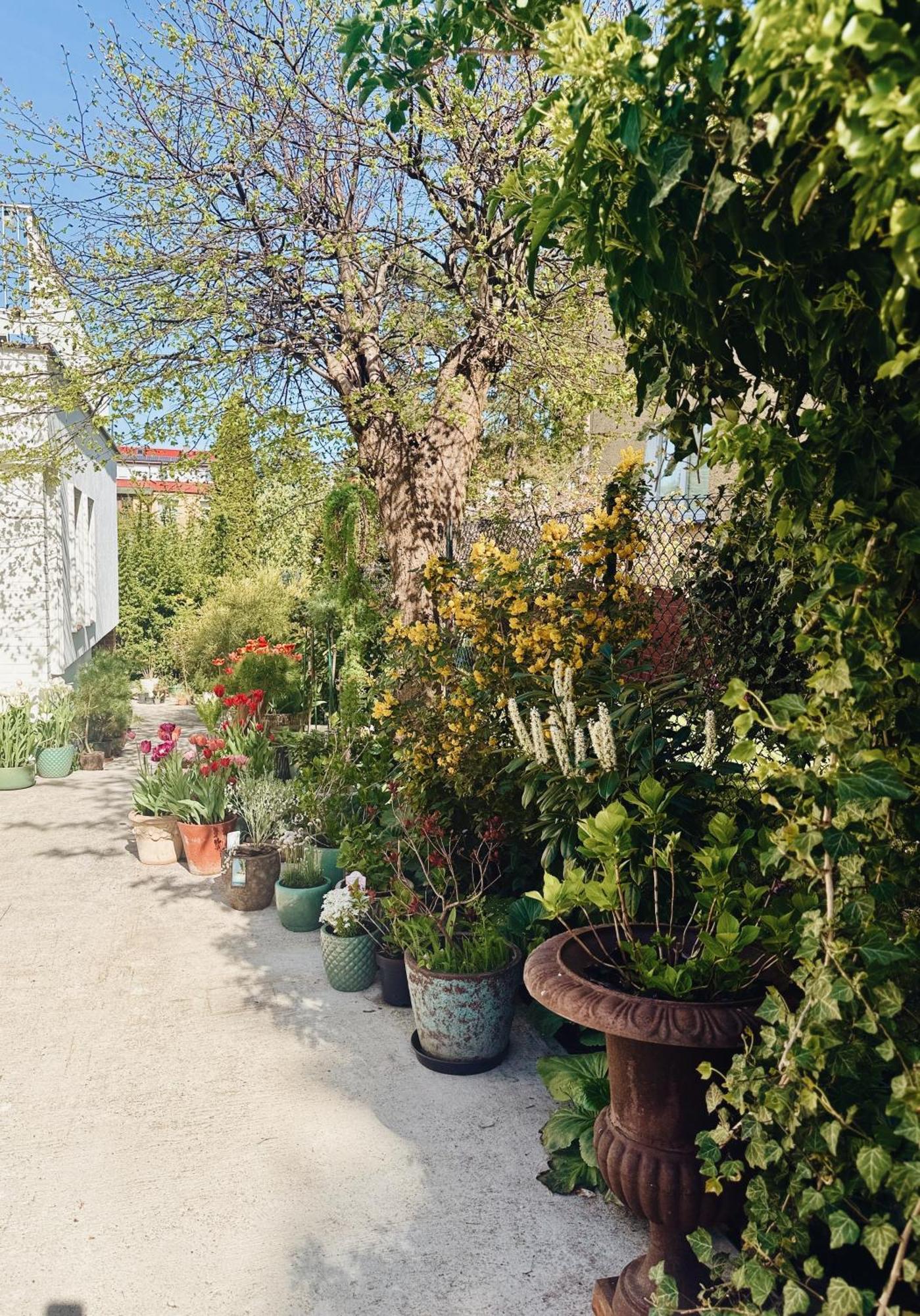 Powiew - B&B Pensjonat Noclegi Swinoujscie - Unterkunft Swinemuende - Guesthouse Tennis Garden Breakfast At Baltic Sea 외부 사진